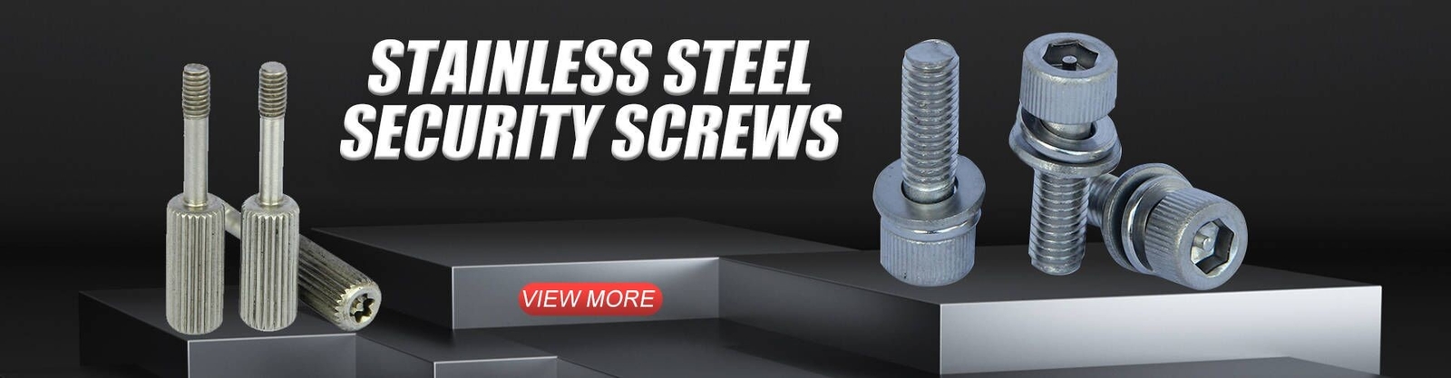 Stainless Steel Security Screws