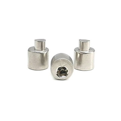 Industrial Use Stainless Steel Eccentric Adjustment Screw with 4.5mm Thread Length