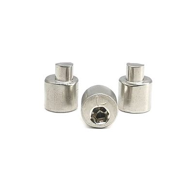 Stainless Steel Eccentric Adjustment Screw
