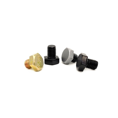 Painted Zinc Hexagonal Decorative Screw Stainless Steel Nail CD Screw