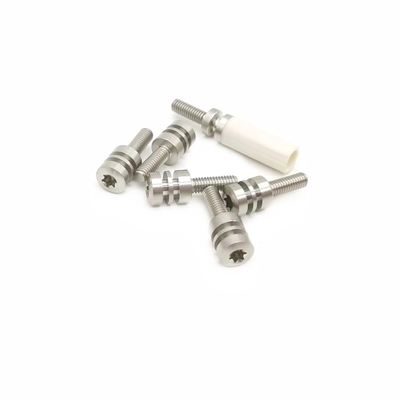 Processing Customized Hand Screwed Glue Coated Screws Non Standard Anti Theft Bolts