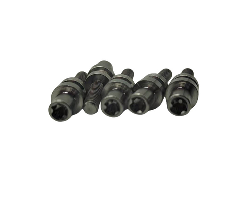 Customized Stainless Steel Torx Screws Zinc Nickel Alloy