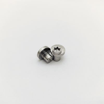 Eccentric Locking Pin 316 Stainless Torx Eccentric Screws ±0.3-1.0mm Offset Electropolished