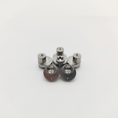 316 Stainless Torx Eccentric Screws ±0.3-1.0mm Offset Electropolished