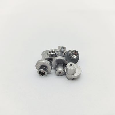 Eccentric Locking Pin 316 Stainless Torx Eccentric Screws ±0.3-1.0mm Offset Electropolished