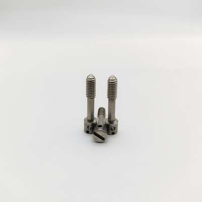 304 Stainless Steel Slotted Lead Sealing Screws M4 M5 M6 for Electric Meters