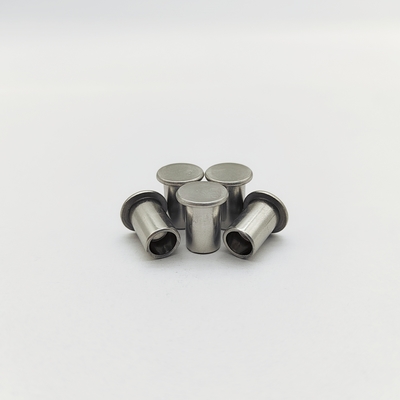 316L Stainless Steel Flat Head Semi-Tubular Rivets ISO 15977