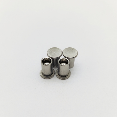 316L Stainless Steel Flat Head Semi-Tubular Rivets ISO 15977