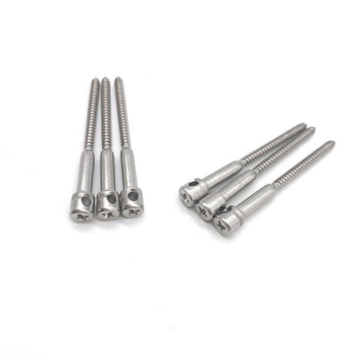 Stainless Steel Lead Seal Screw