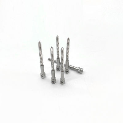 Stainless Steel Lead Seal Screw