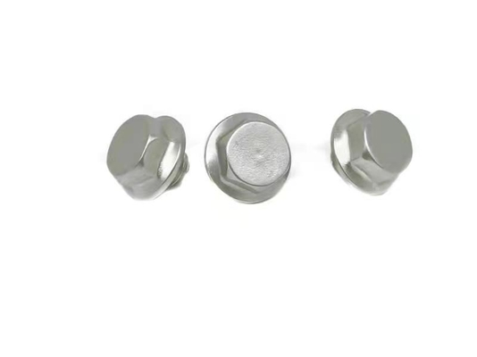 Decorative Stainless Steel Machine Screws M8X5.5 Nickelplated Hexagonal