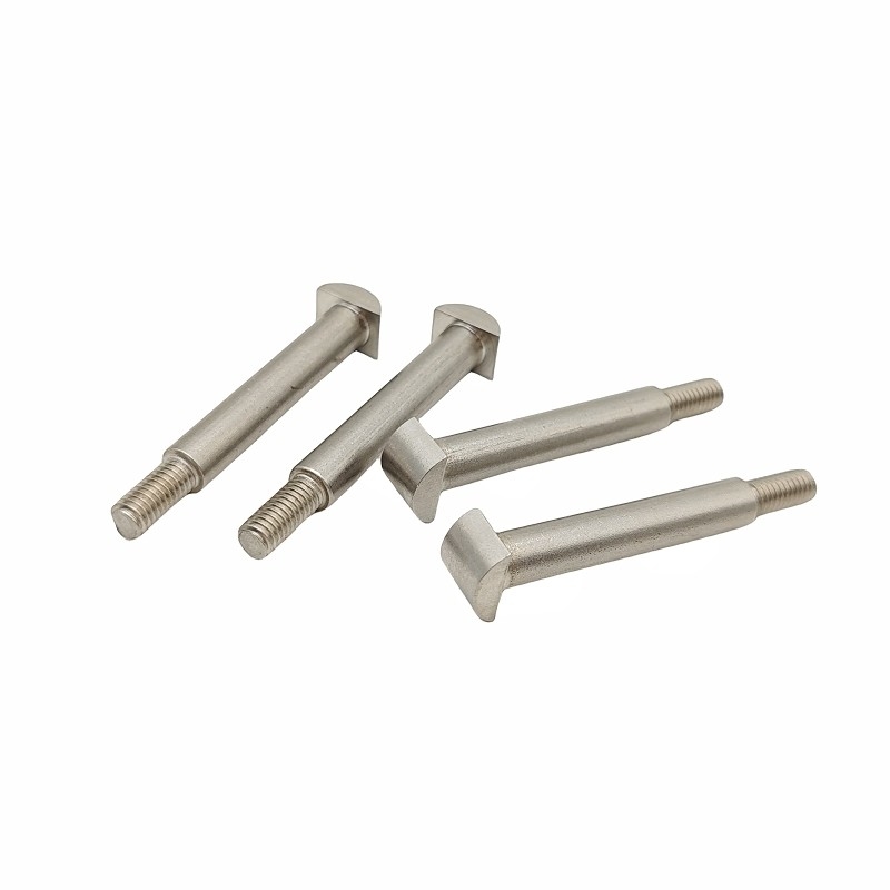 Customize Various Specifications Of Stainless Steel T-Shaped Step Bolts With Curved Surface T-Shaped Bolts