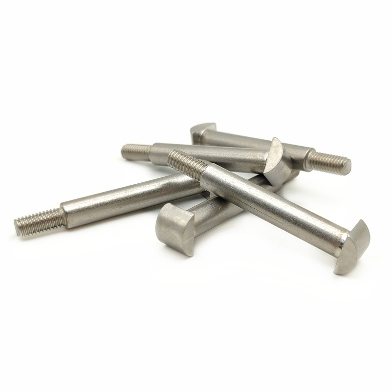Manufacturers Customized Stainless Steel T-Shaped Step Screws T-Shaped Bolt With Curved Surface