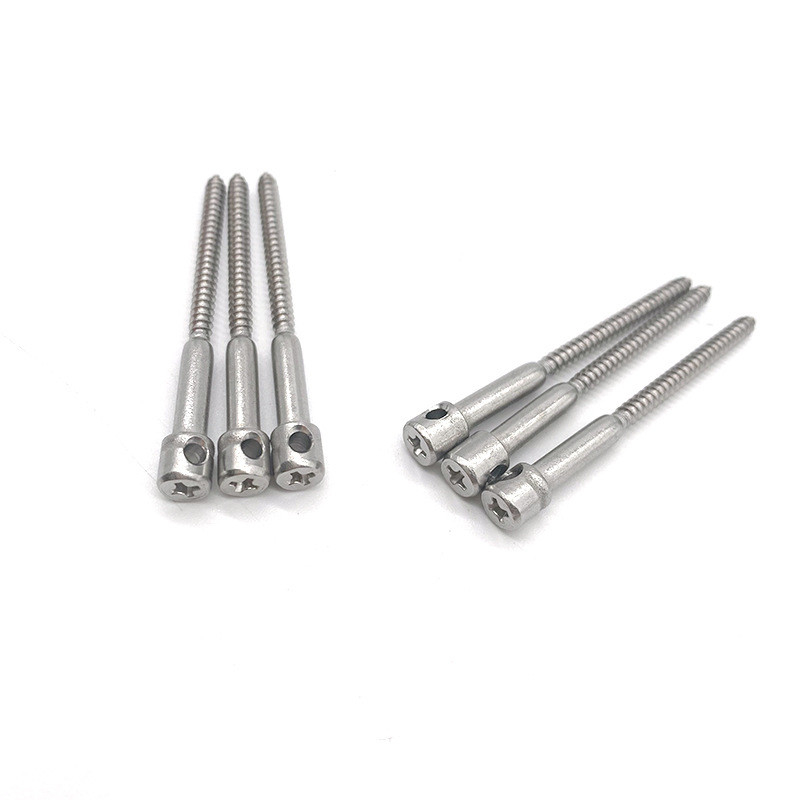 Sealing Bolts For Watthour Meters Galvanized Hole Screws For Anti-Tampering Of Electric Meters - Solid Metal Construction