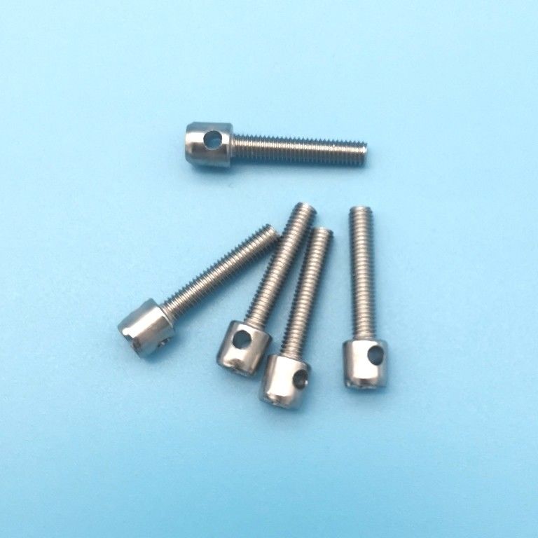 Stainless Steel Lead Seal Screw