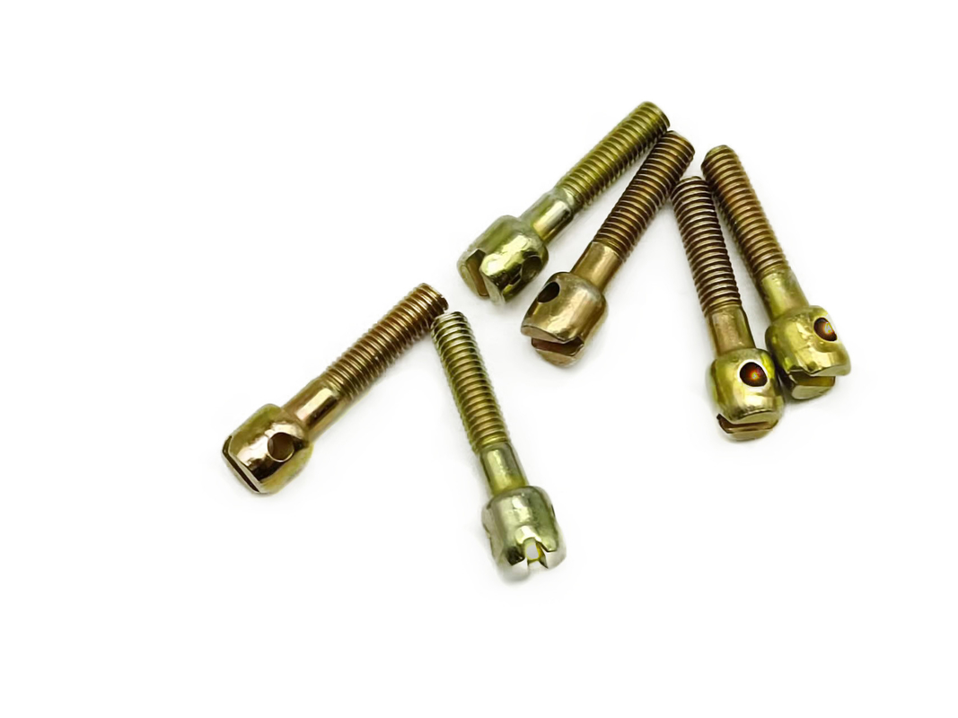 Cylindrical Head With Hole Coarse Thread Meter Screws, Galvanized Iron Or Stainless Steel Sealing Screws For Instruments
