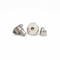 Non Standard Hexagonal Eccentric Nail 304 Stainless Steel Solid Flat Round Head Step Rivet Fastener Connector