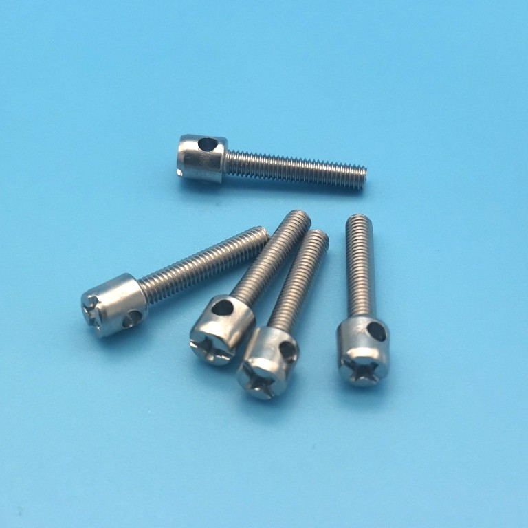Chromium Electric Meter Screws , Passivated M3 Stainless Steel Screws