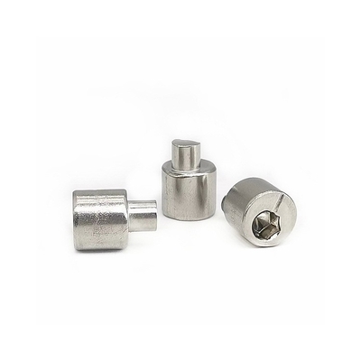 Precision Machinery Stainless Steel Eccentric Adjustment Screw 1.3mm Eccentricity