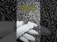 Lead Sealing Screw Phillips Grooved Hole Screws Galvanized Electric Meter Screw M4*14