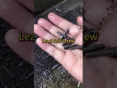 Secure&Reliable! Leading Manufacturer of Electric Meter Sealing Screws& Fasteners #customfasteners