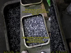 Torx Eccentric Screws