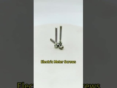 Electric meter screws
