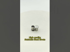 High Quality Stainless Steel Rivets