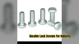 Durable Stainless Steel Lock Screws For Industry