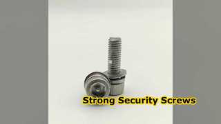 Secure Fastening Stainless Steel Security Screws