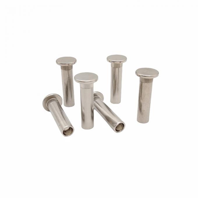 Customized Flat Head Semi-Hollow Rivet